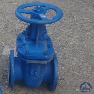 Клапан Ду 100 мм 13ТН2П купить в Шымкенте