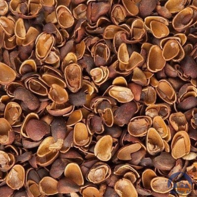 Скорлупа Кедрового Ореха (Barus Nut Shell) купить в Шымкенте