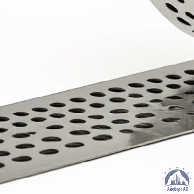 Скрепа для ленты НС-20-Т с зубьями C304 купить в Шымкенте