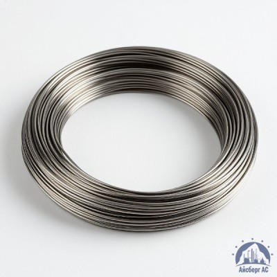 Проволока вольфрамовая 10,6 мкм ВМ купить в Шымкенте