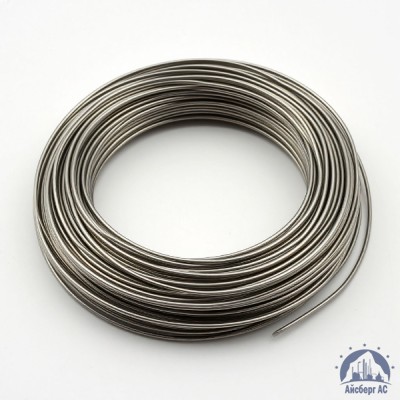 Проволока 0,03-Х20Н80-ВИ ГОСТ 8803-89 купить в Шымкенте