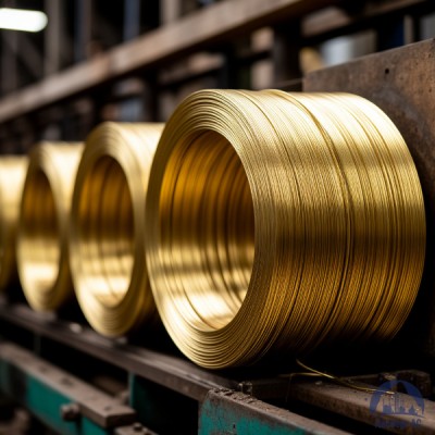 Проволока латунная 2 мм Л63 купить в Шымкенте
