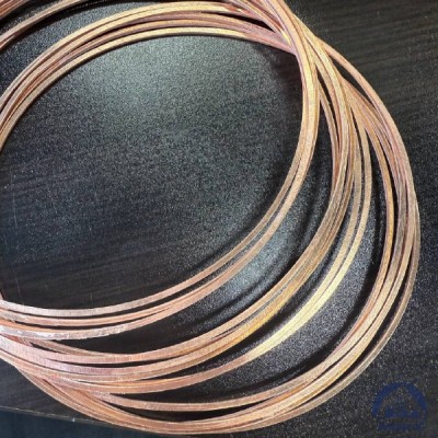 Прокладка медная уплотнительная 14х18-II s=1,5 ГОСТ 19752-84 купить в Шымкенте