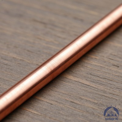 Пруток медный 10 мм М1 ГОСТ 1535-2006 купить в Шымкенте