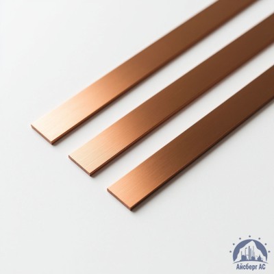 Полоса медная 100х10 мм ШМТ ГОСТ 434-78 купить в Шымкенте