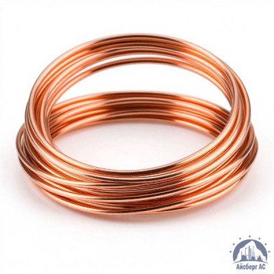 Жила токопроводящая медная 0,03 мм2 класс 1 ГОСТ 22483-2012 купить в Шымкенте