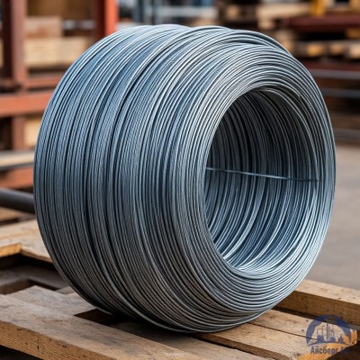 Проволока вольфрамовая 12 мкм ВМ купить в Шымкенте