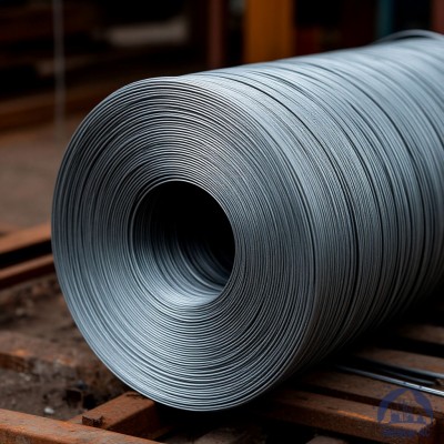 Проволока вольфрамовая 12,4 мкм ВМ купить в Шымкенте