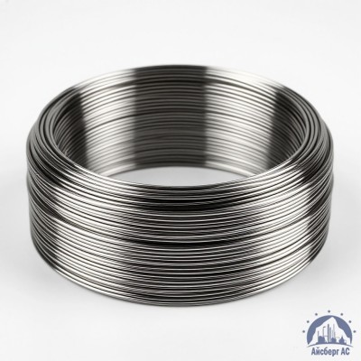 Проволока круглая 0,2-П-2-70 ГОСТ 3875-83 купить в Шымкенте