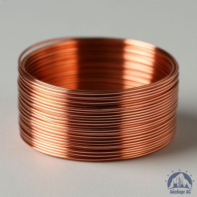 Проволока сварочная ДКРХМ 4 БТ МСр1 ГОСТ 16130-90 купить в Шымкенте