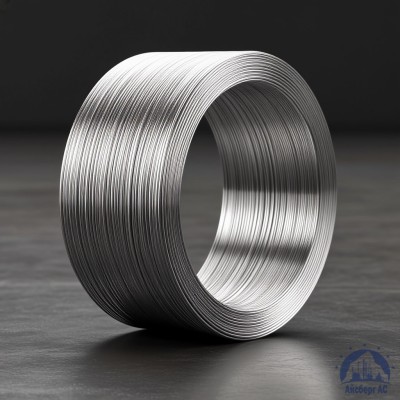 Алюминиевая сварочная проволока 1,8 мм СвАМГ6 купить в Шымкенте