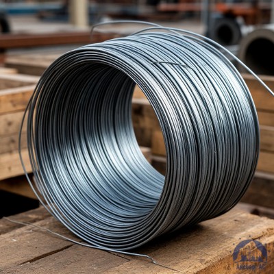 Проволока   1-1-25 ГОСТ 5663-79 купить в Шымкенте