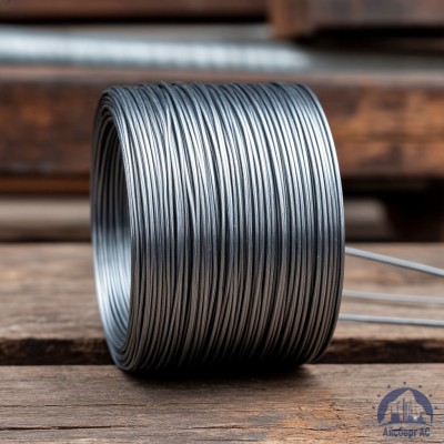 Проволока   1-2-30 ГОСТ 5663-79 купить в Шымкенте