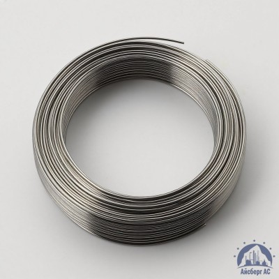 Путанка проволока МЗП 0,8 мм купить в Шымкенте