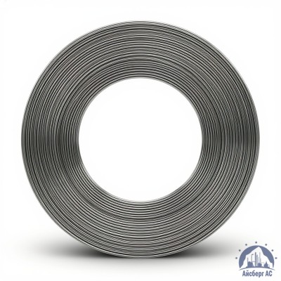 Проволока цинковая 2.5 мм Ц1 ГОСТ 13073-77 купить в Шымкенте