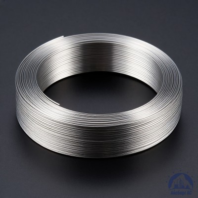 Проволока титановая 0,8 мм ВТ20-2СВ ГОСТ 27265-87 купить в Шымкенте
