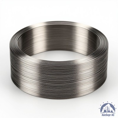 Проволока титановая 2 мм 2В купить в Шымкенте