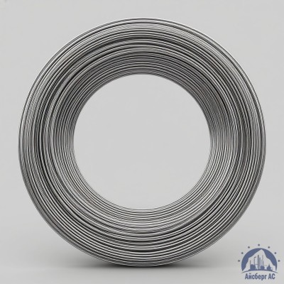 Проволока серебряная Ср 999 ТУ 117-1-418-91 купить в Шымкенте