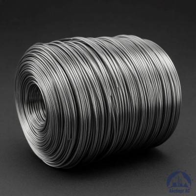 Проволока свинцовая 2 мм С1 купить в Шымкенте