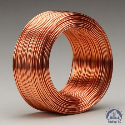 Проволока сварочная ДКРХМ 2 БТ МСр1 ГОСТ 16130-90 купить в Шымкенте