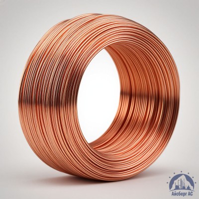 Проволока сварочная ДКРХМ 2,5 БТ МНЖКТ5-1-0,2-0,2 ГОСТ 16130-90 купить в Шымкенте