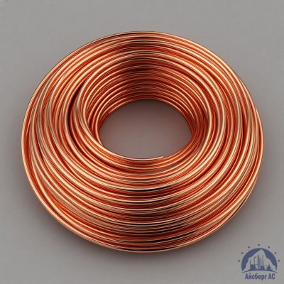 Проволока сварочная ДКРХМ 2,5 БТ МСр1 ГОСТ 16130-90 купить в Шымкенте