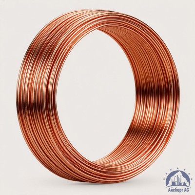 Проволока сварочная ДКРХМ 8 БТ МНЖКТ5-1-0,2-0,2 ГОСТ 16130-90 купить в Шымкенте