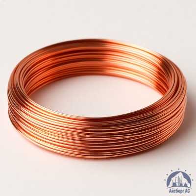 Проволока сварочная омедненная 1 мм Св08ГС ТУ 1227-017-00187240-2010 купить в Шымкенте