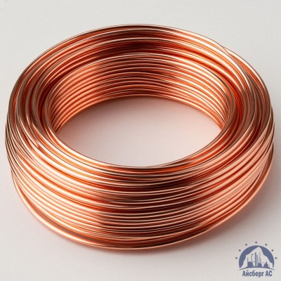 Проволока сварочная ДКРХМ 1,4 БТ МНЖКТ5-1-0,2-0,2 ГОСТ 16130-90 купить в Шымкенте